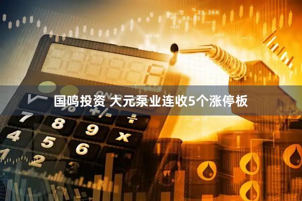 国鸣投资 大元泵业连收5个涨停板