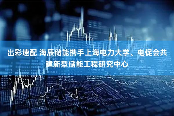 出彩速配 海辰储能携手上海电力大学、电促会共建新型储能工程研究中心