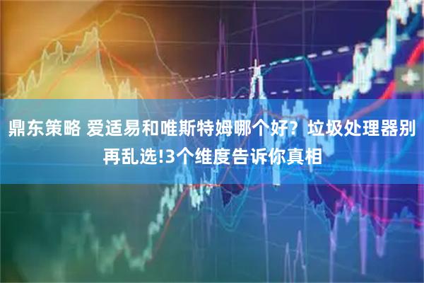 鼎东策略 爱适易和唯斯特姆哪个好？垃圾处理器别再乱选!3个维度告诉你真相